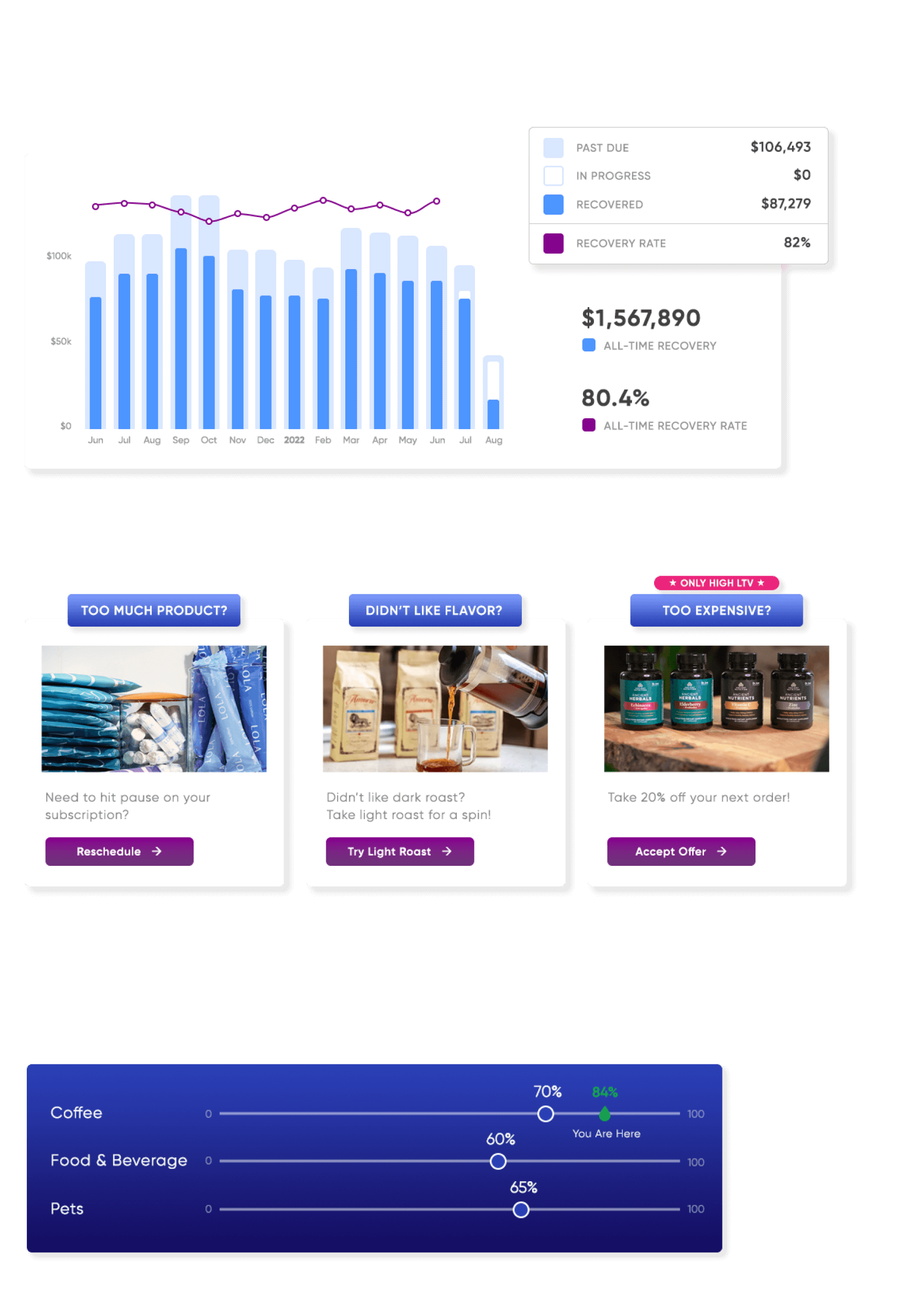 Illustration of the Churn Buster interface, charts, and graphs